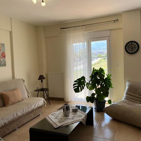 Olympian Two Floor Apartment Leptokarya  Exterior photo